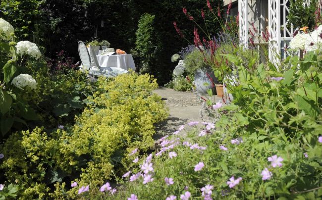 The sunny frontage of Marks home is planted in line with his overall cottage garden theme