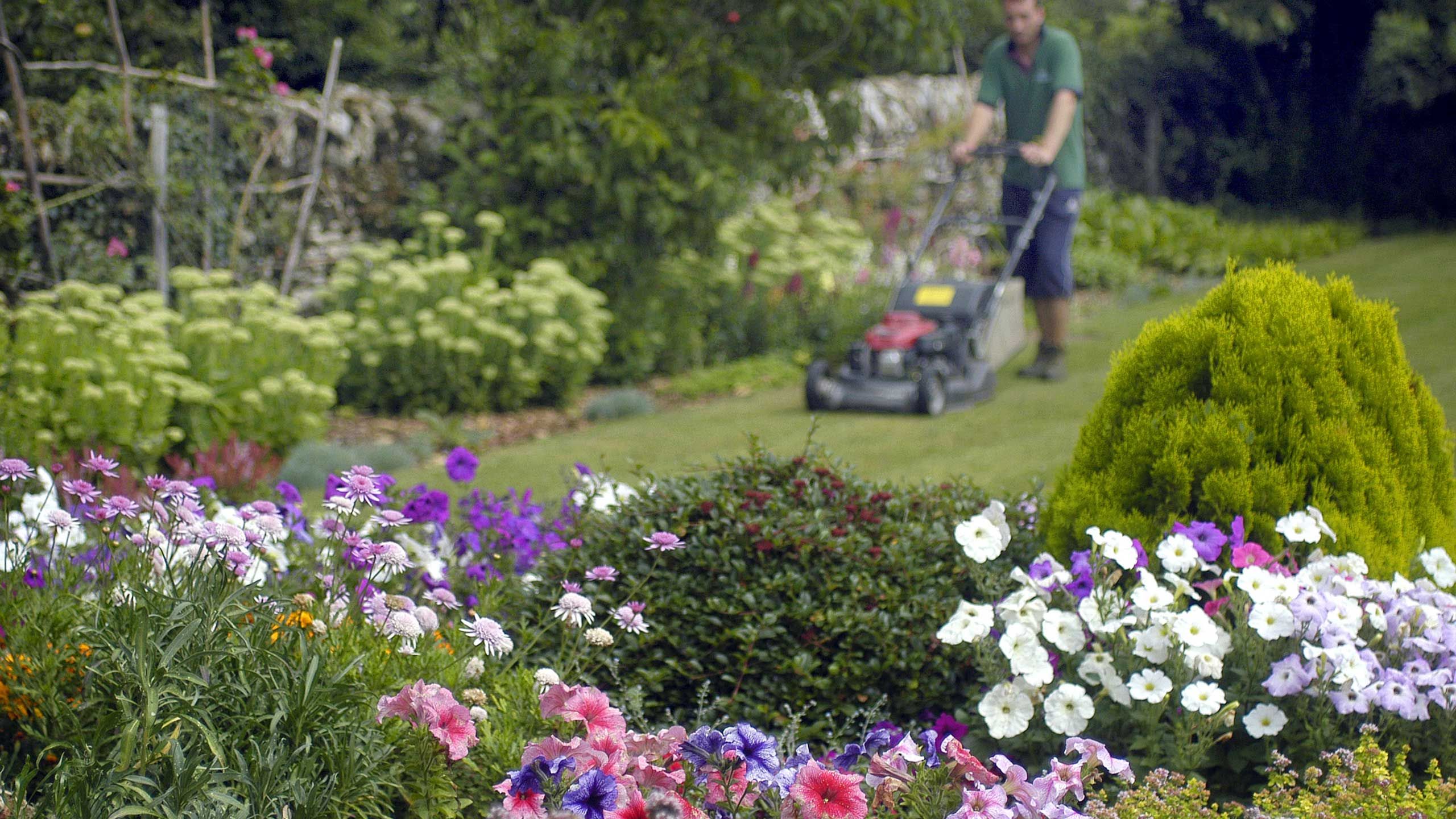 Commercial grounds & garden maintenance