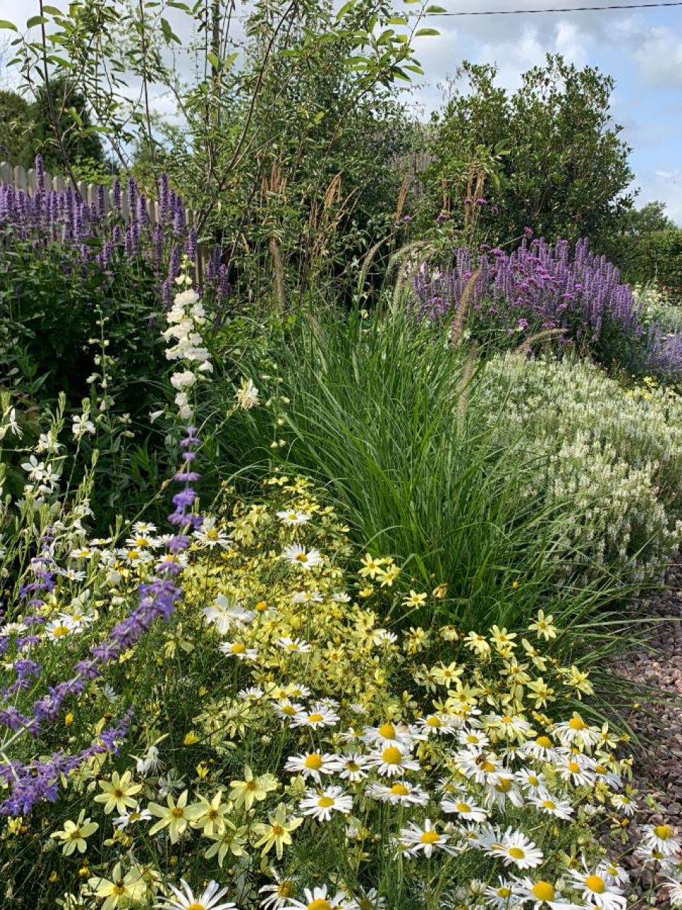 Graduate Gardeners win Principal Soft Landscaping award 2025