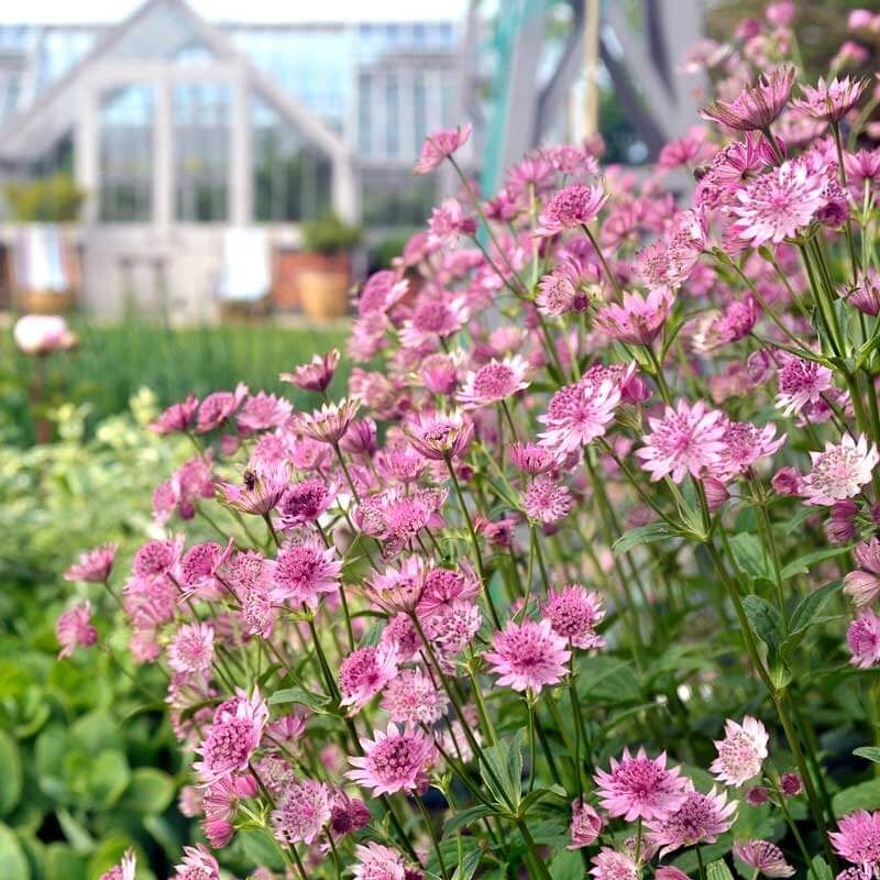Graduate Gardeners - Cotswold Garden Construction since 1974
