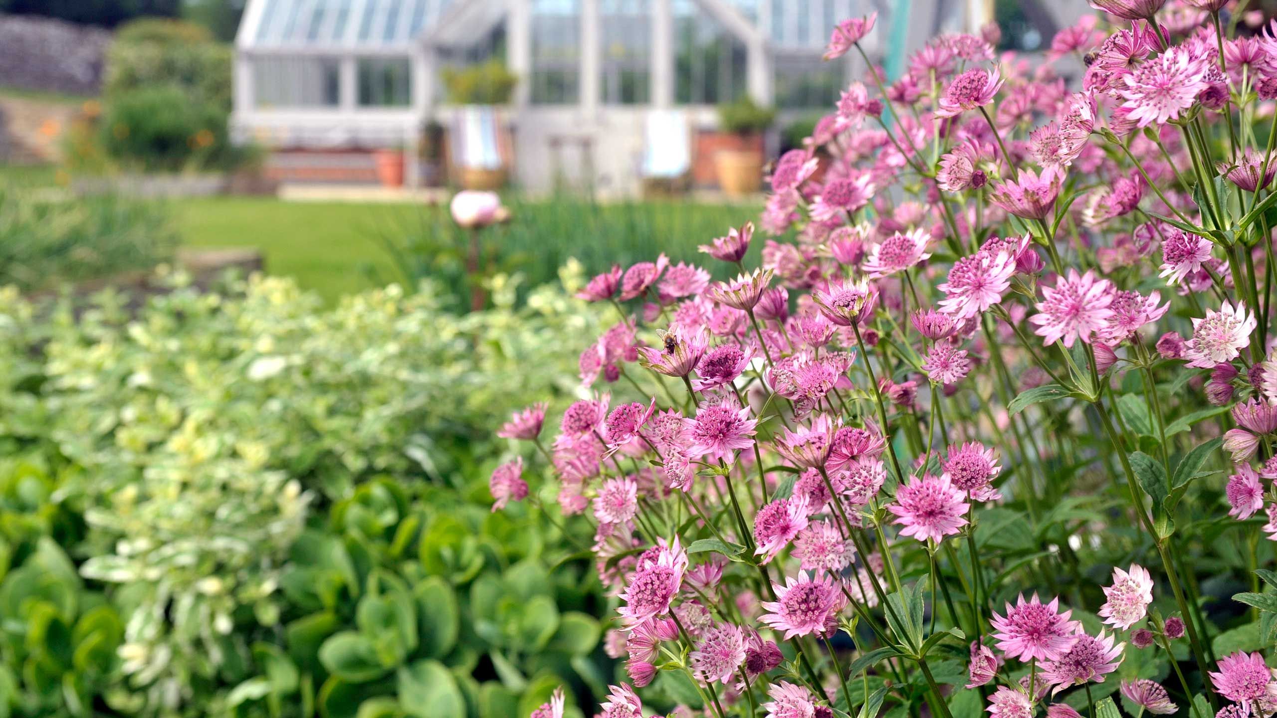Graduate Gardeners 