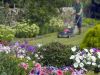 Commercial grounds & garden maintenance