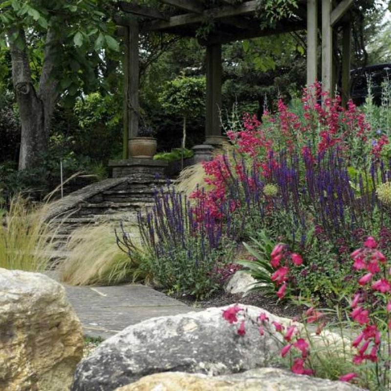 Tranquil garden pergola with blooming purple and pink flowers.