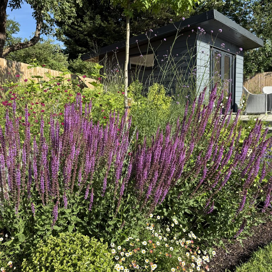 Private garden in Broadway, Worcestershire, by Graduate Gardeners